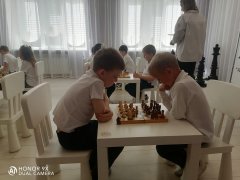 img (8)